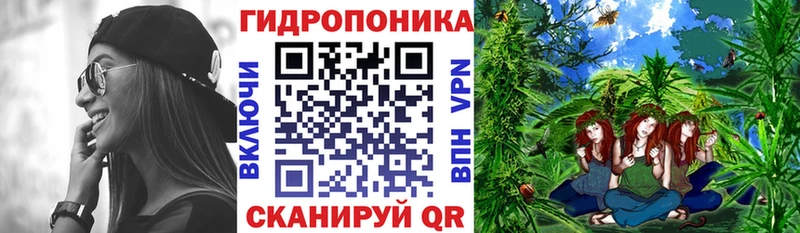 Где найти наркотики Питкяранта Гашиш  Каннабис  Галлюциногенные грибы  Мефедрон  Кокаин 