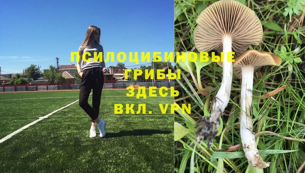 круглые Абдулино